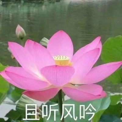 “最后通牒”将近，特朗普说的美俄乌三方会晤有戏吗